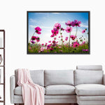 Wild Cosmos Flowers Wall Art
