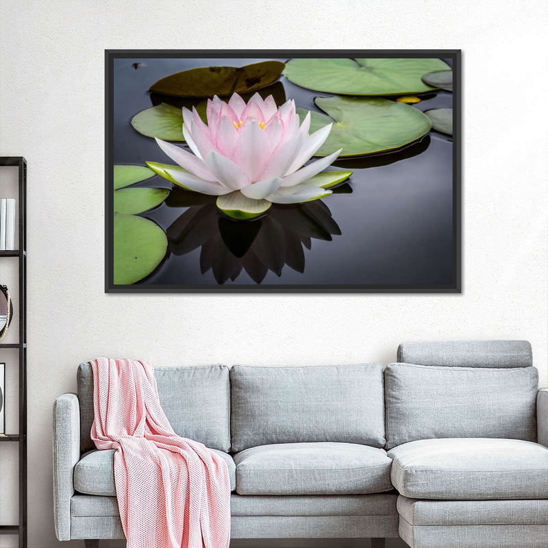 Pinkish White Lotus Wall Art
