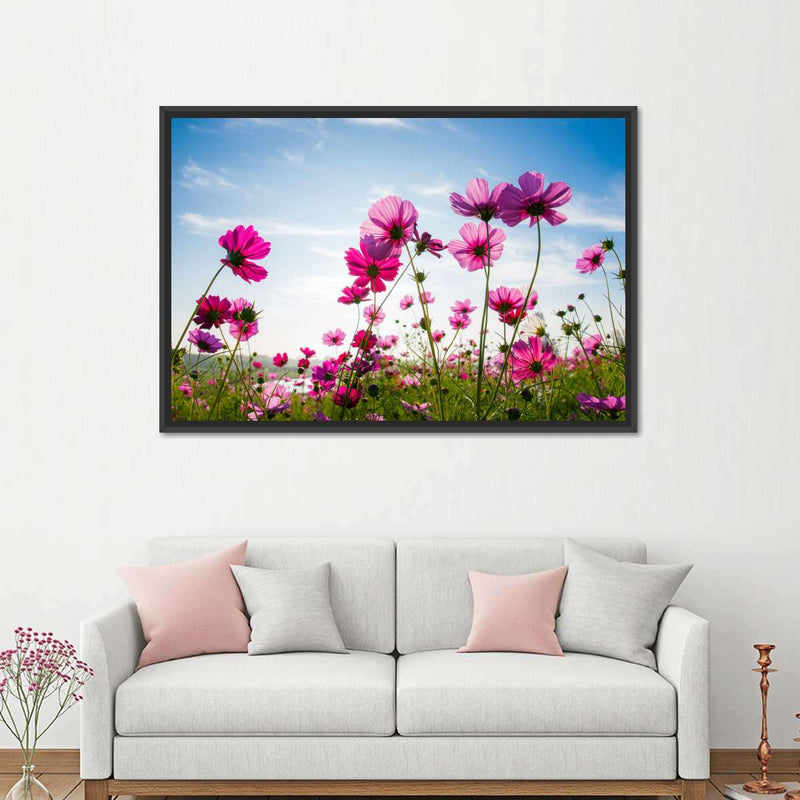 Wild Cosmos Flowers Wall Art