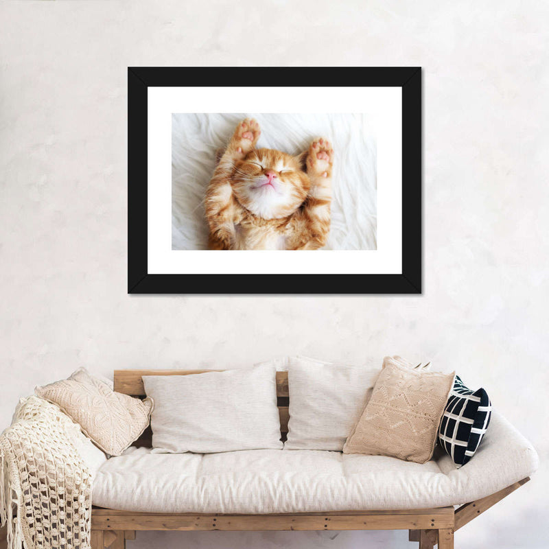 Sleepy Kitty Wall Art