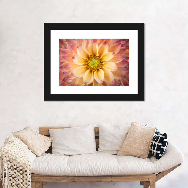 Lovely Dahlia Wall Art