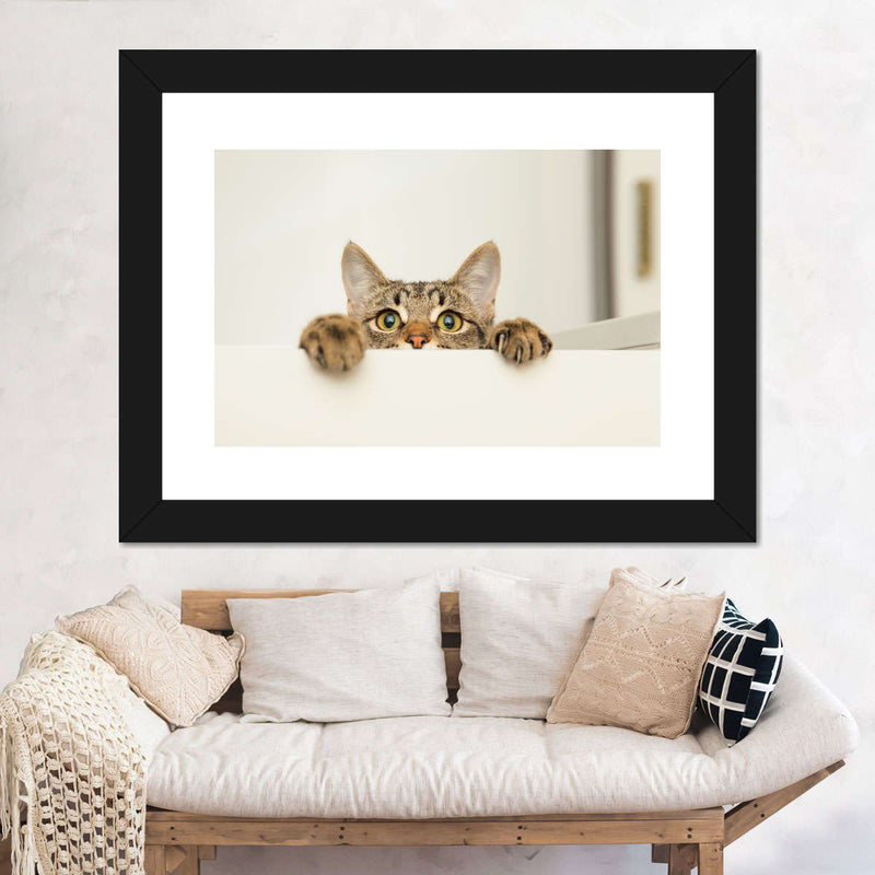 Peeking Young Cat Wall Art