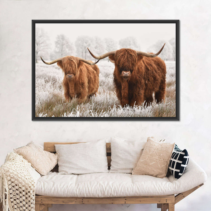 Hairy Scottish Highland Cows Wall Art