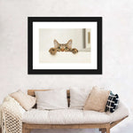 Peeking Young Cat Wall Art