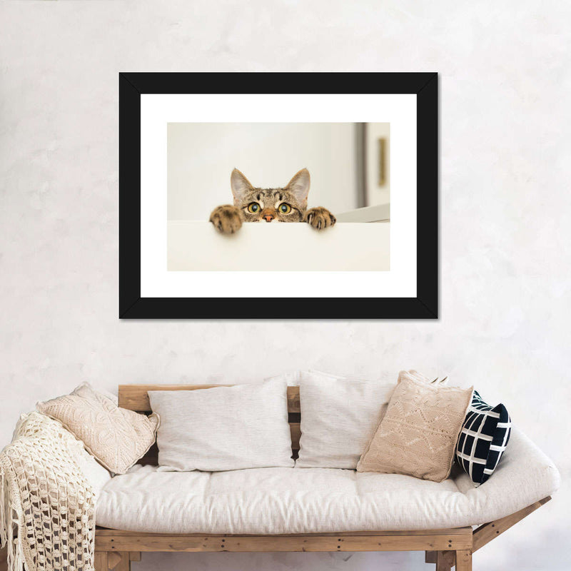 Peeking Young Cat Wall Art