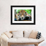 Lazy Leopard Wall Art