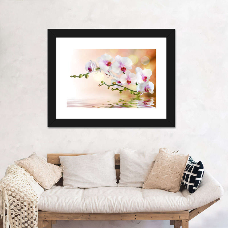 Orchid Flowers On Water Wall Art