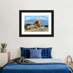 Roaring Safari Lion Wall Art