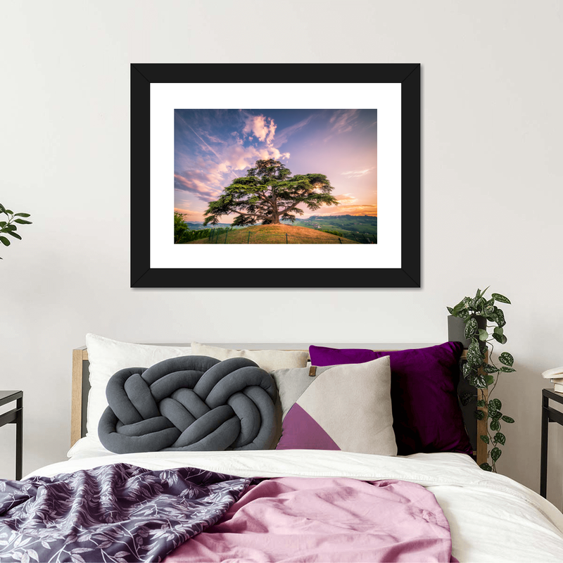 Majestic Cedar Of Lebanon Wall Art