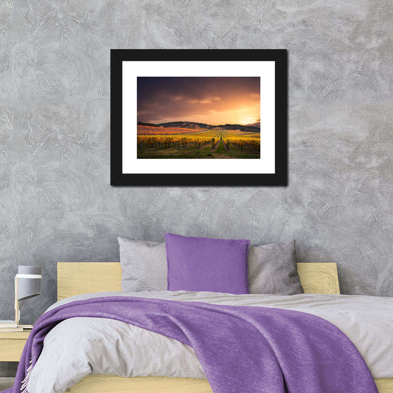 South Australia Vineyard Wall Art