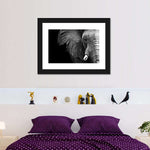 Wise Elephant Wall Art