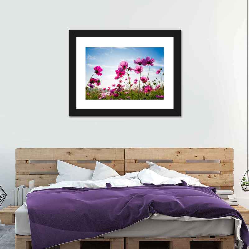 Wild Cosmos Flowers Wall Art