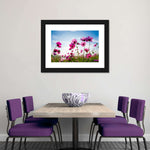 Wild Cosmos Flowers Wall Art