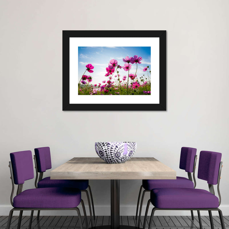 Wild Cosmos Flowers Wall Art