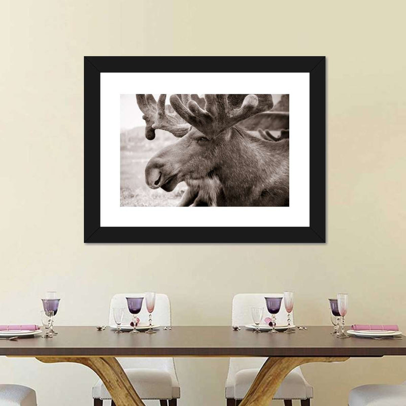 Moose Head Wall Art