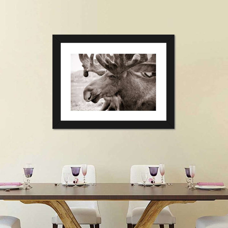 Moose Head Wall Art