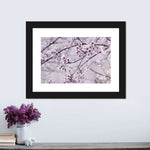 Pastel Sakura Wall Art