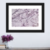 Pastel Sakura Wall Art