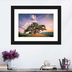 Majestic Cedar Of Lebanon Wall Art