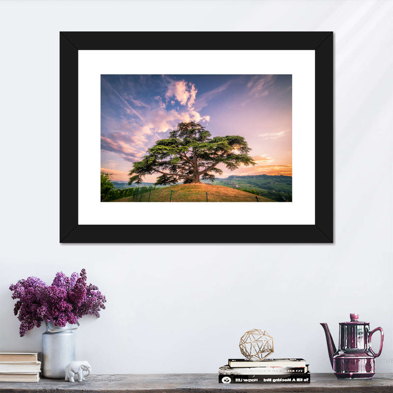 Majestic Cedar Of Lebanon Wall Art