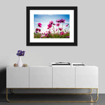 Wild Cosmos Flowers Wall Art
