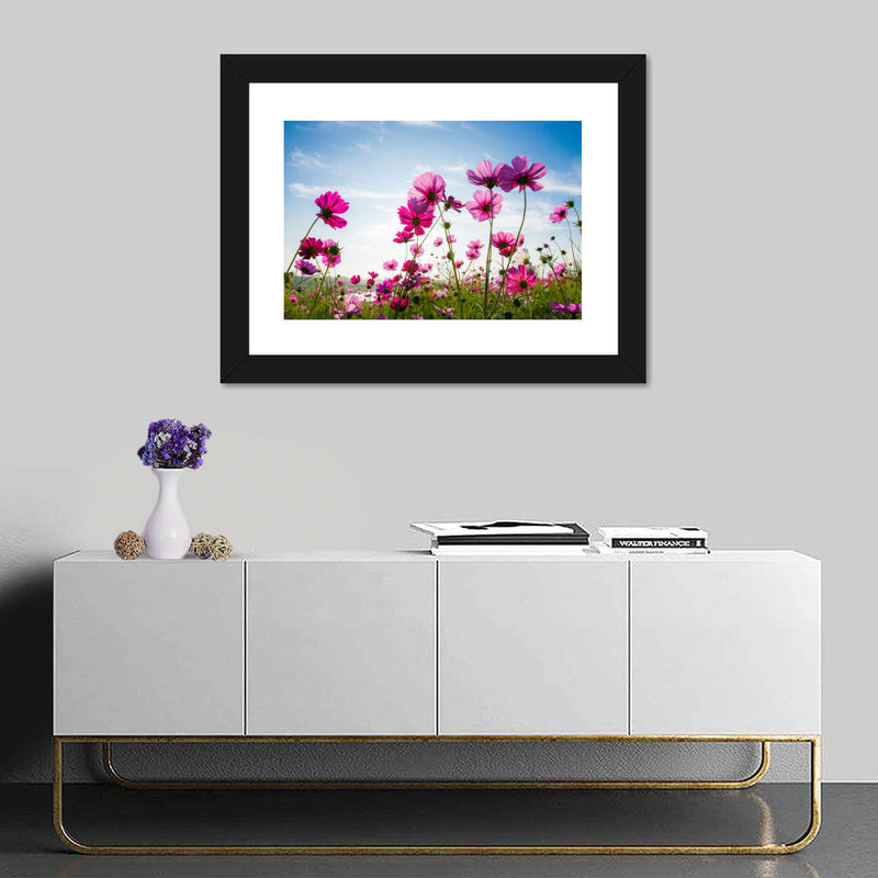 Wild Cosmos Flowers Wall Art