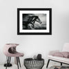 Thoroughbred Wall Art