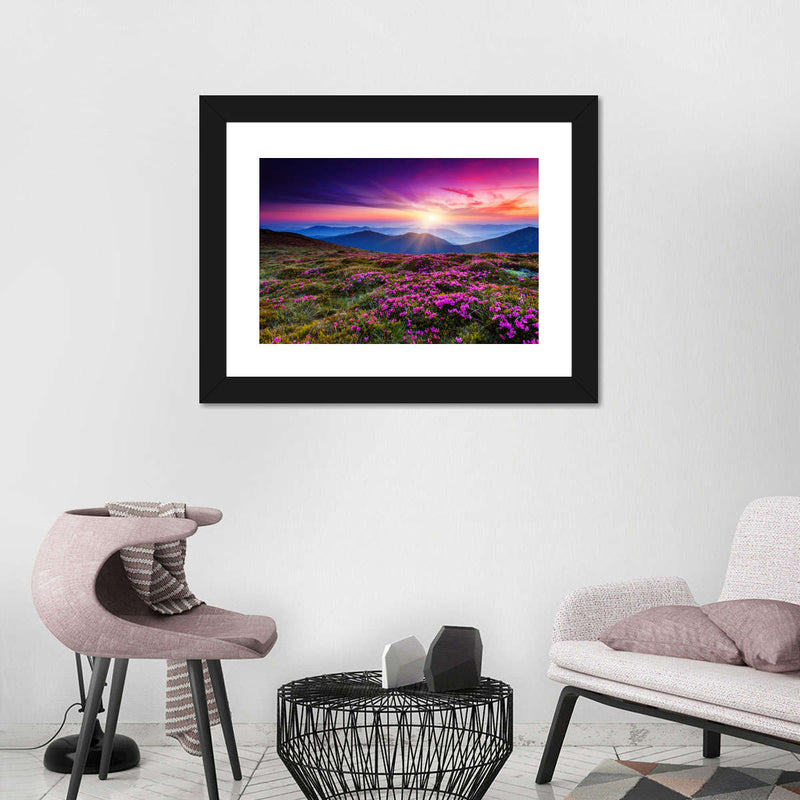 Pink Flowers At Sunset Wall Art