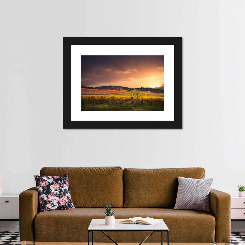 South Australia Vineyard Wall Art