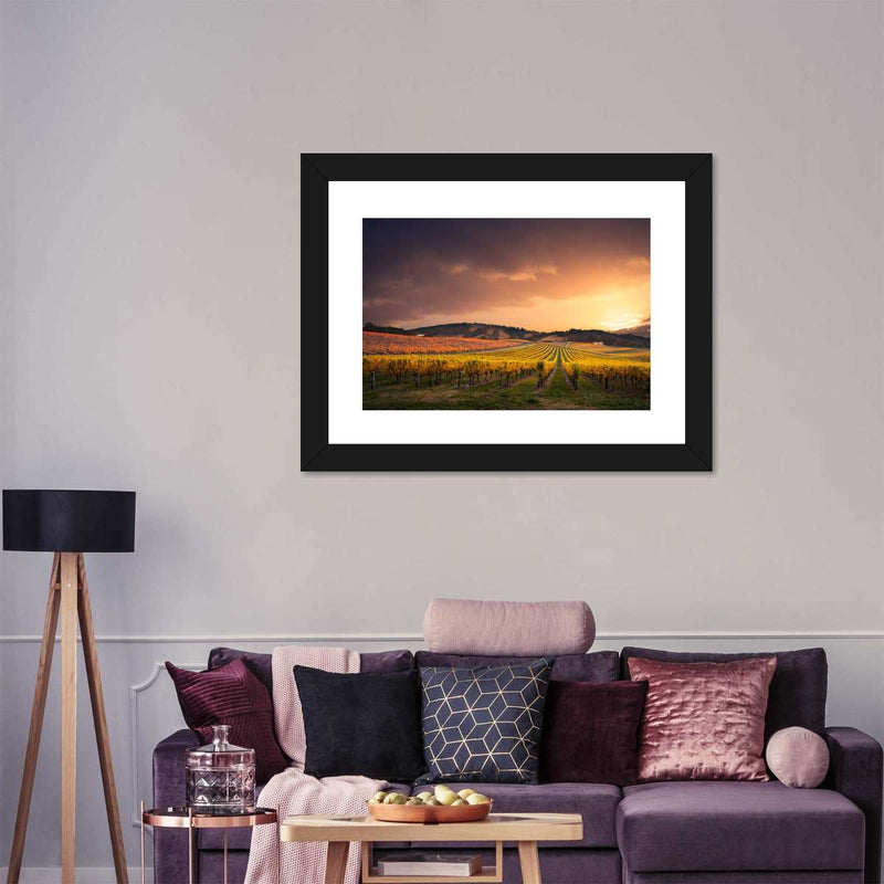 South Australia Vineyard Wall Art