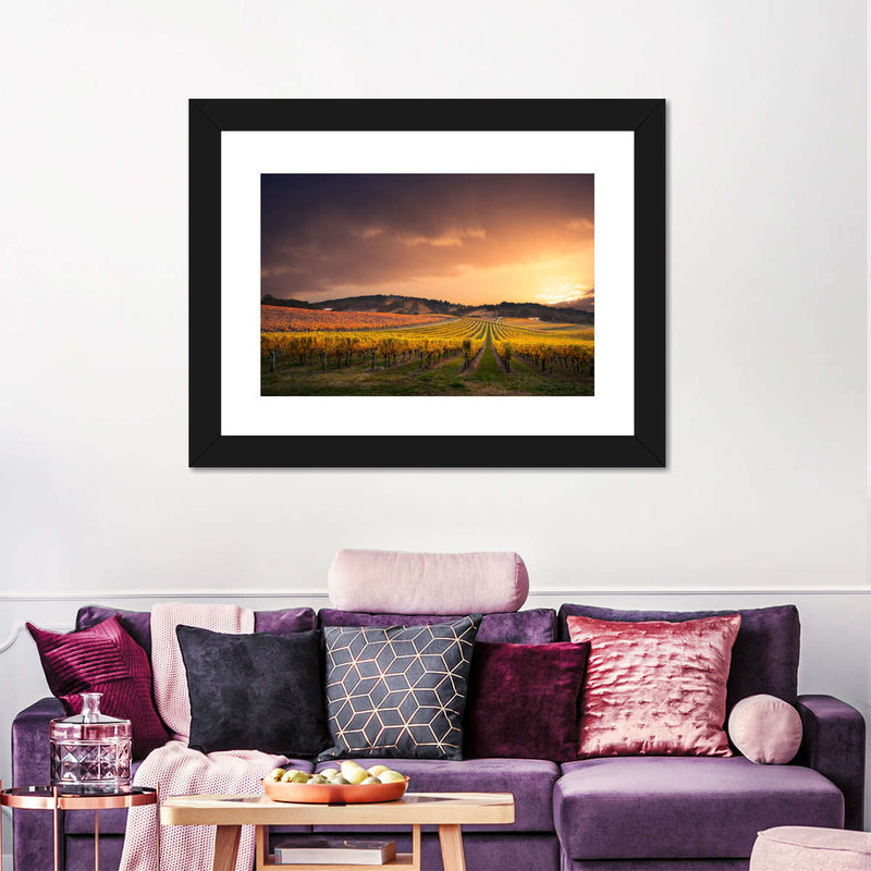 South Australia Vineyard Wall Art