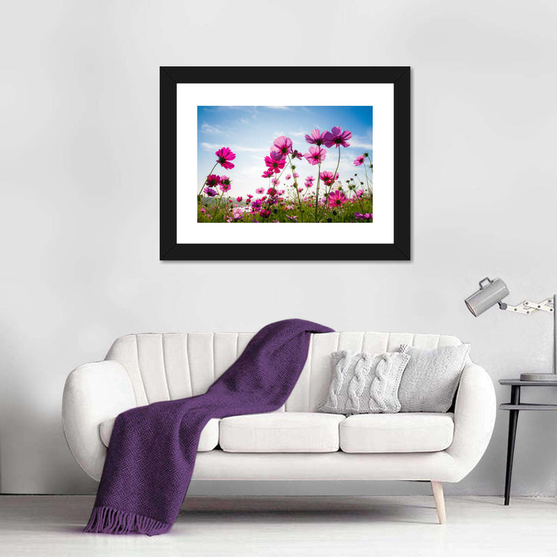 Wild Cosmos Flowers Wall Art