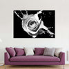 Rose Splash Wall Art