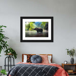 Wild Elephant Wall Art
