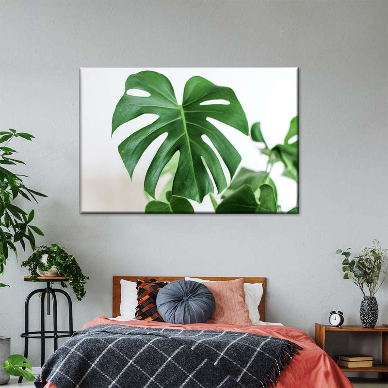 Monstera Leaf Wall Art