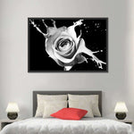 Rose Splash Wall Art