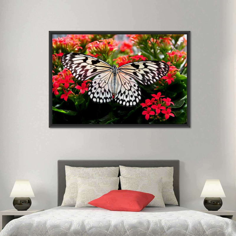 Pretty Butterfly Wall Art