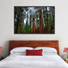 Vibrant Redwood Wall Art