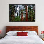 Vibrant Redwood Wall Art