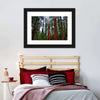 Vibrant Redwood Wall Art