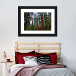 Vibrant Redwood Wall Art