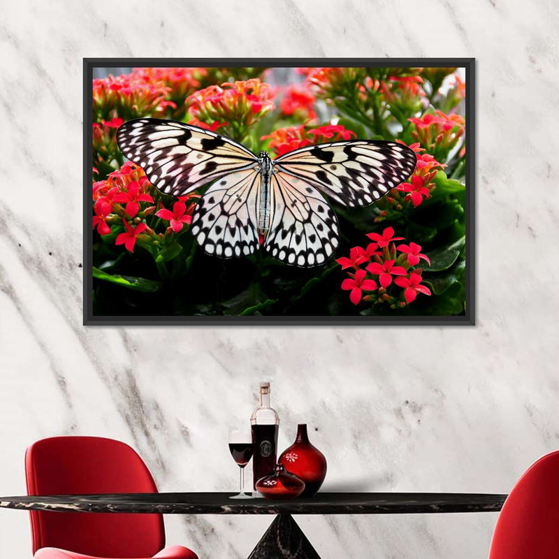 Pretty Butterfly Wall Art