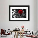 Lone Rose Pop Wall Art