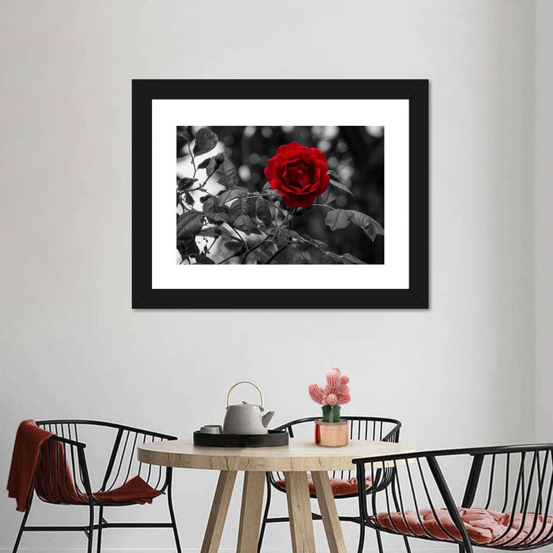 Lone Rose Pop Wall Art