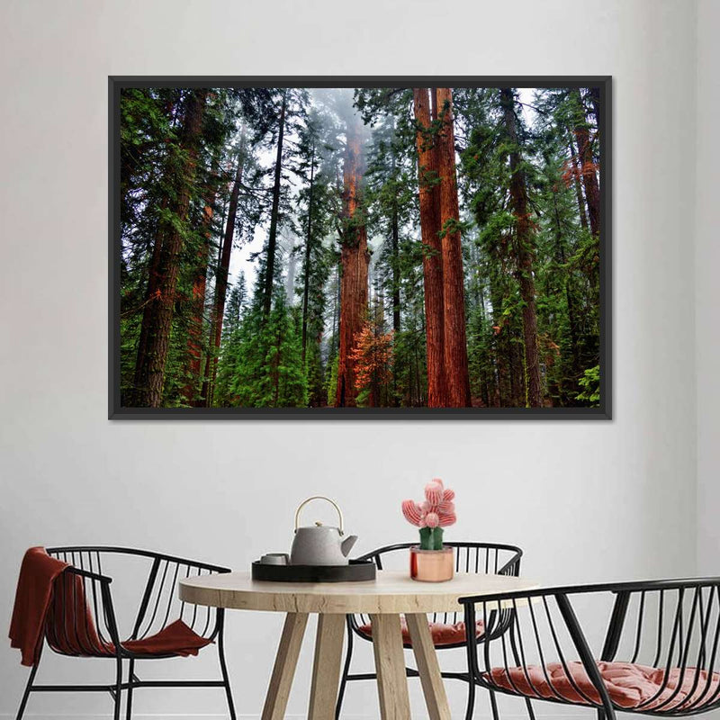 Vibrant Redwood Wall Art