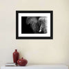 Wise Elephant Wall Art