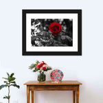 Lone Rose Pop Wall Art