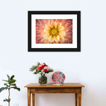 Lovely Dahlia Wall Art