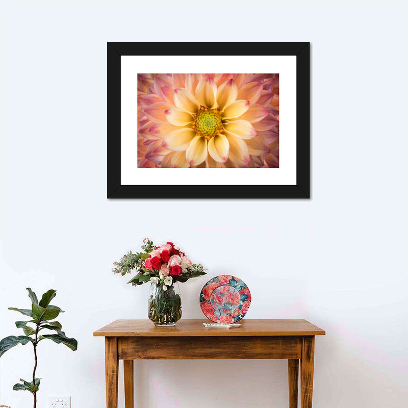 Lovely Dahlia Wall Art