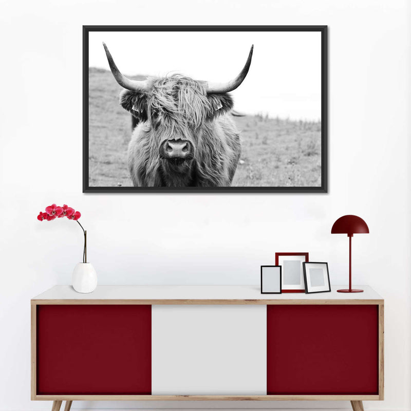 Solitary Highland Cow Wall Art